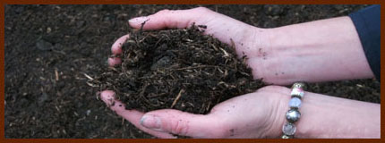 eco-friendly compost from recycled garden cuttings