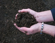 orgnaic compost