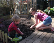 preparing the soil to plant their vegetables